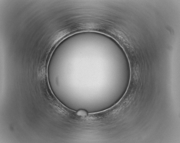 X0000116001073200912031504