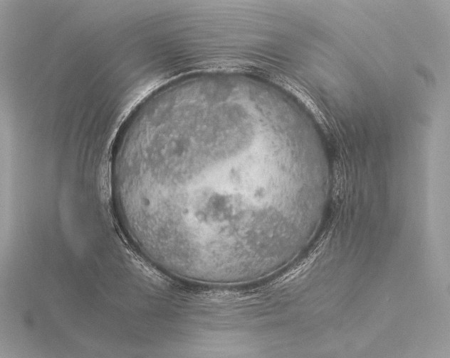 X0000116001075200912031504