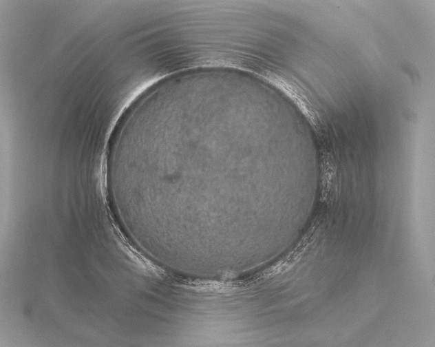 X0000116001076200912031504