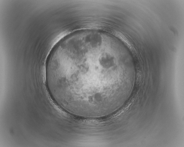 X0000116001079200912031504