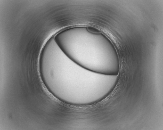 X0000116001080200912031504