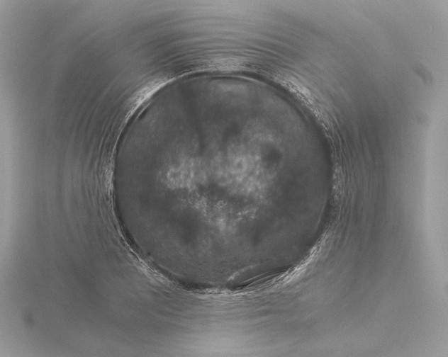 X0000116001081200912031504