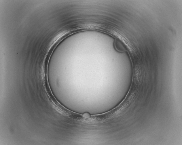 X0000116001082200912031504