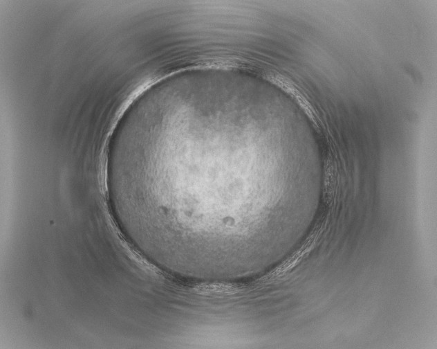 X0000116001083200912031504