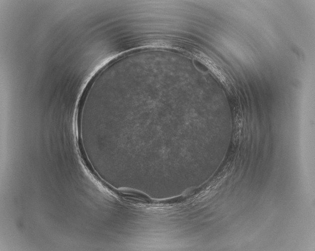 X0000116001084200912031504