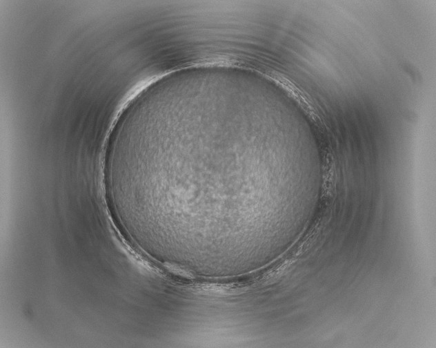 X0000116001086200912031504