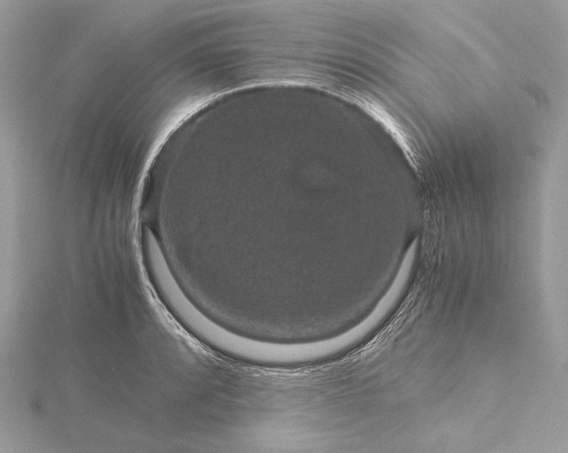 X0000116001088200912031504