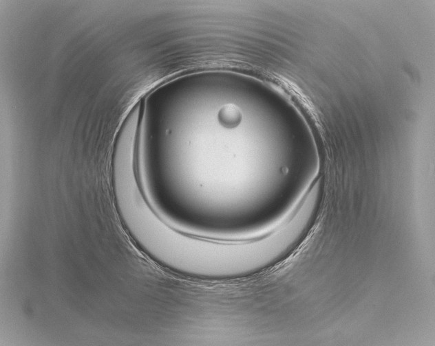 X0000116001089200912031503