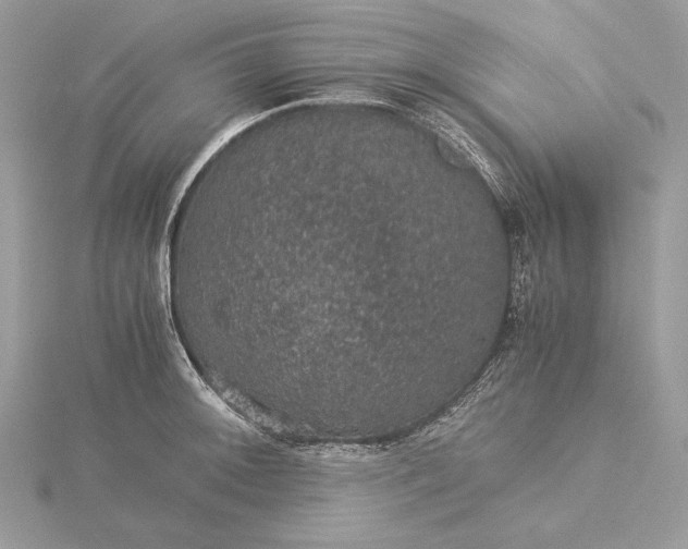 X0000116001092200912031503