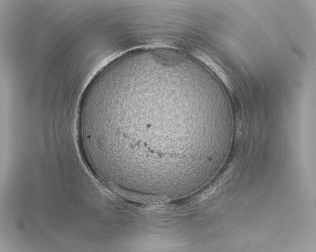 X0000116001093200912031503