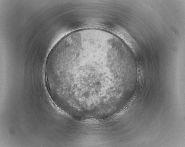 X0000116001094200912031503