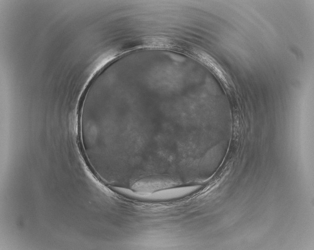 X0000116001095200912031503