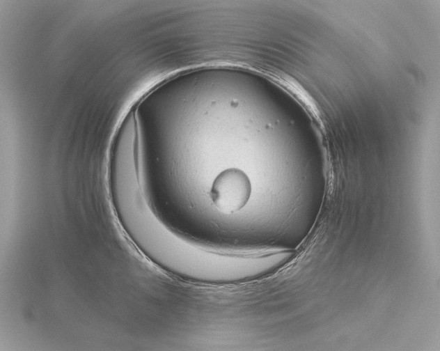 X0000116001096200912031503