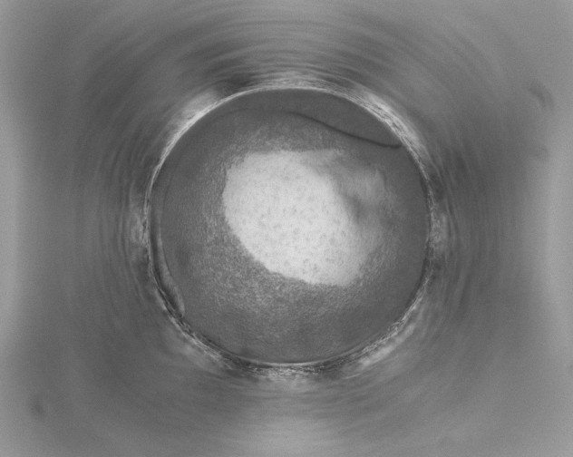 X0000116001097200912031503