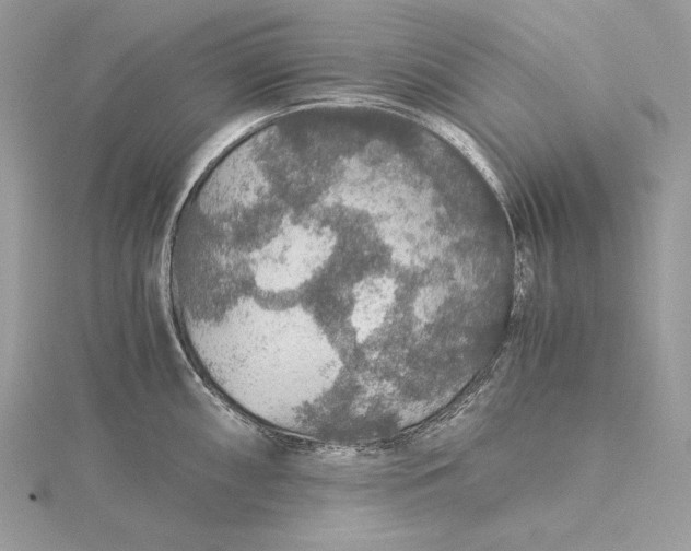 X0000116001098200912031503