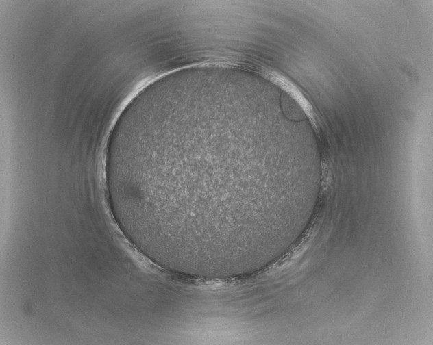 X0000116001099200912031503