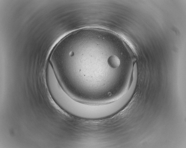 X0000116001100200912031503