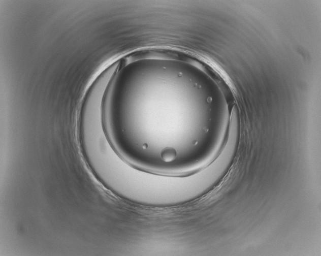 X0000116001101200912031503