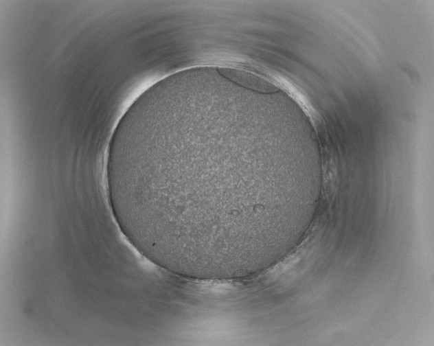 X0000116001103200912031503