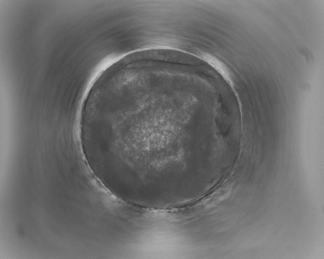 X0000116001104200912031503