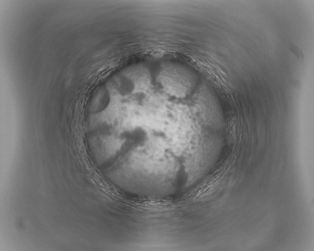 X0000116001105200912031503