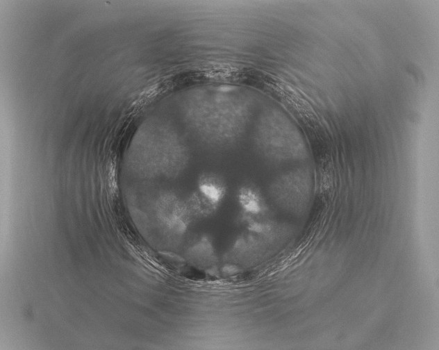 X0000116001106200912031503