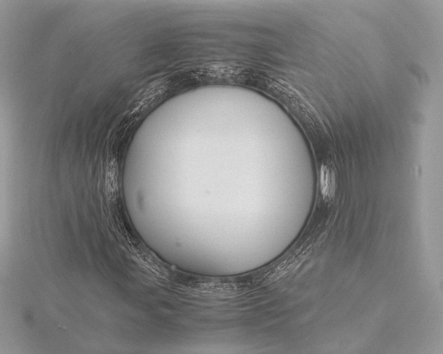 X0000116001107200912031503