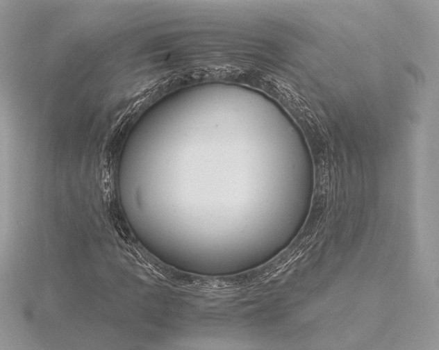 X0000116001109200912031503