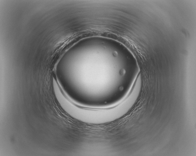 X0000116001110200912031503