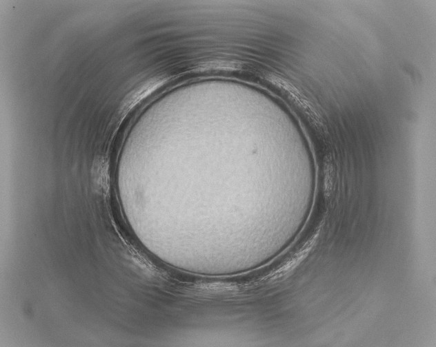 X0000116001113200912031503