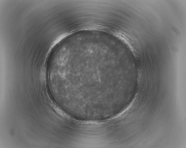 X0000116001114200912031503