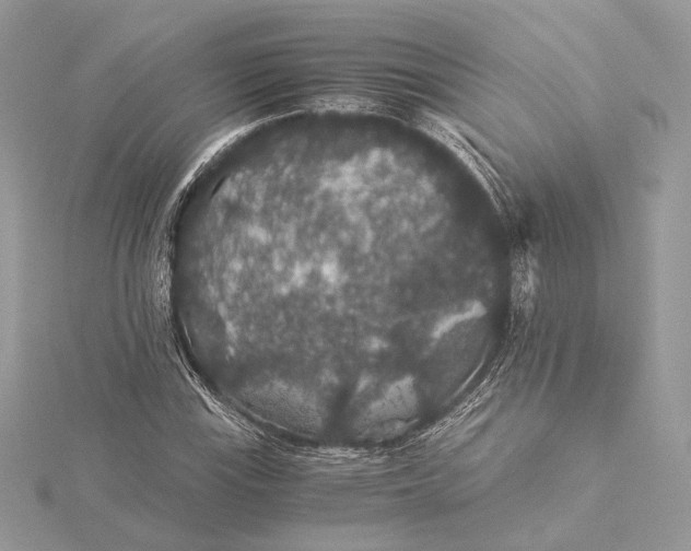 X0000116001115200912031503