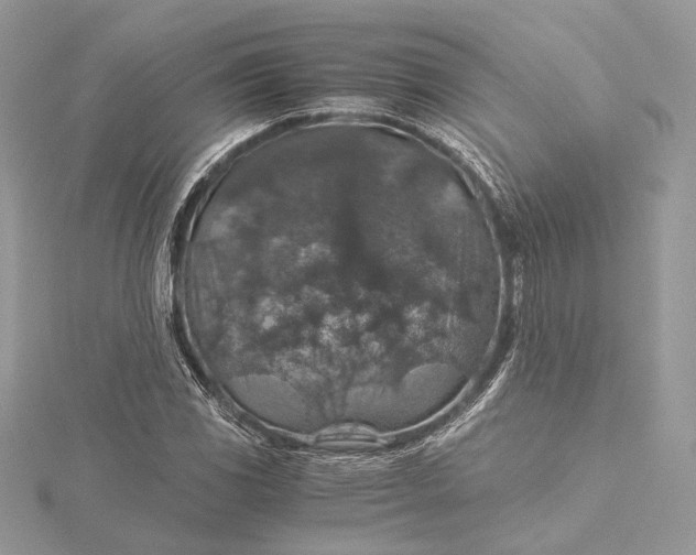 X0000116001117200912031503