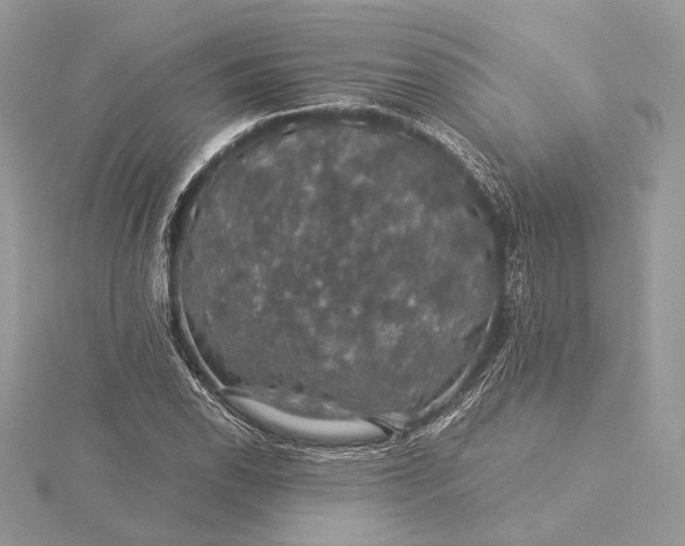 X0000116001118200912031503