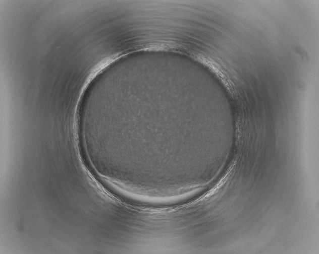 X0000116001122200912031503