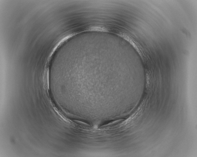 X0000116001123200912031503