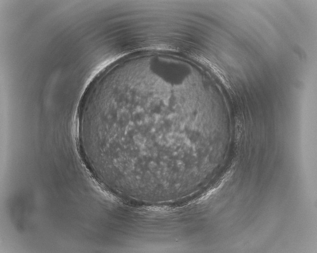 X0000116001125200912031503