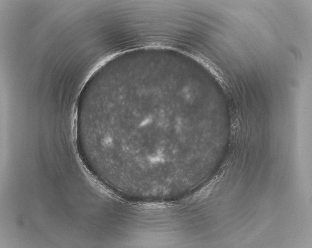 X0000116001126200912031503