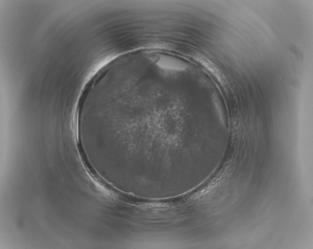 X0000116001127200912031503