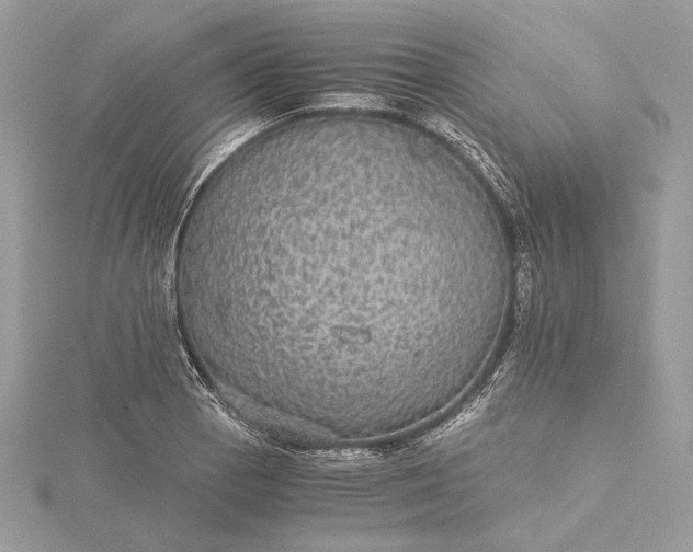 X0000116001129200912031503