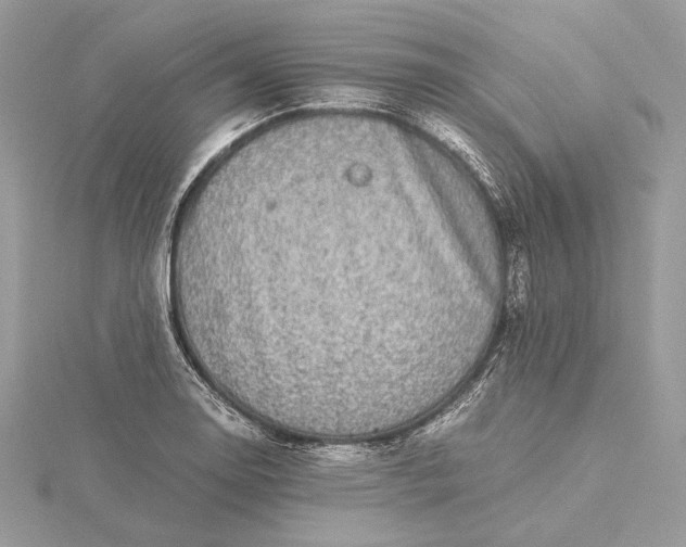 X0000116001130200912031503