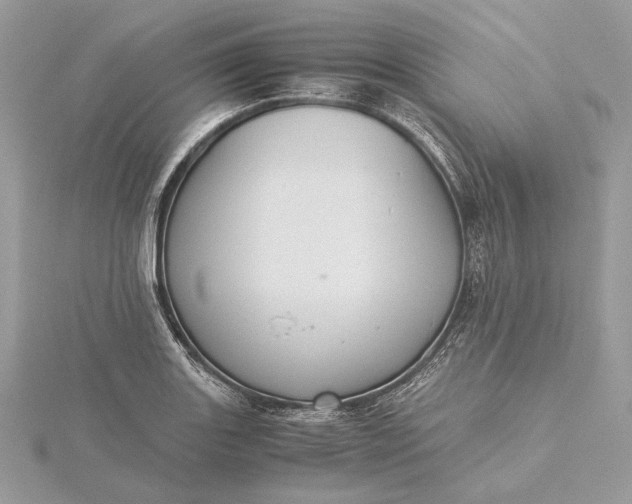 X0000116001131200912031503