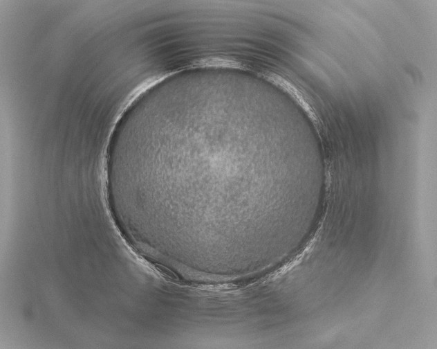 X0000116001133200912031503