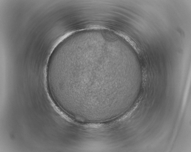 X0000116001134200912031503