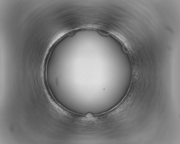 X0000116001135200912031503