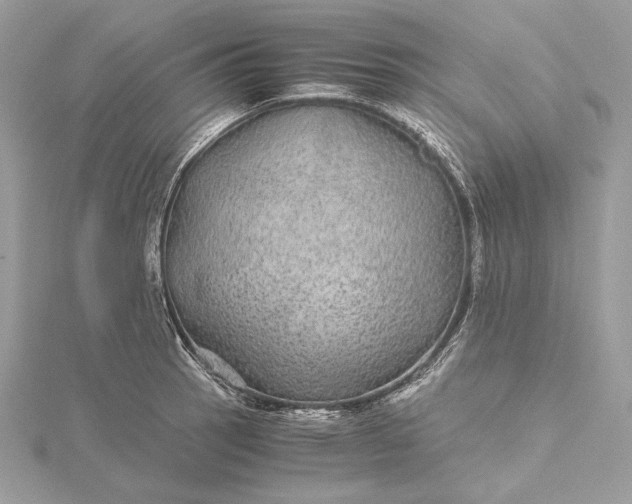 X0000116001137200912031503