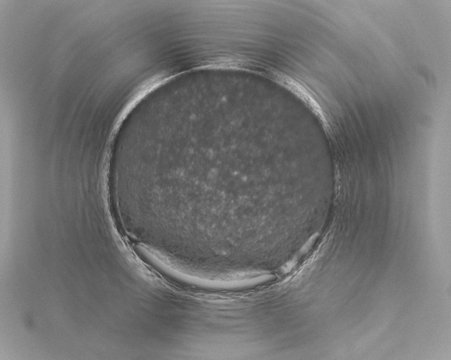 X0000116001138200912031503