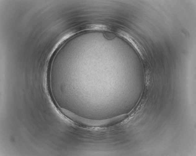 X0000116001139200912031503