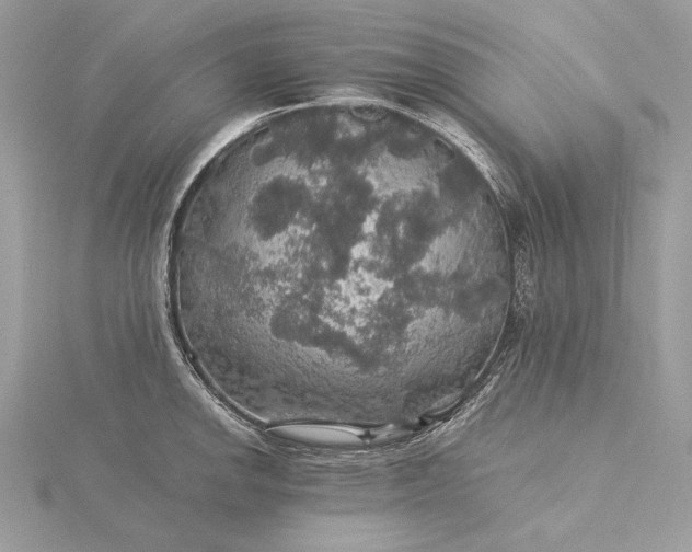 X0000116001142200912031503