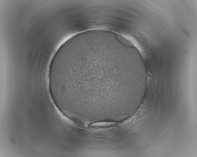 X0000116001143200912031503